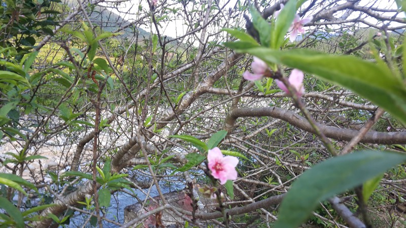 Ngỡ ngàng