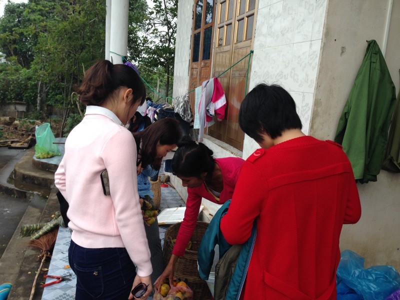 Người dân TP. Móng Cái sợ cam Trung Quốc, đua nhau vào vườn cam sạch mua hàng - ảnh 11