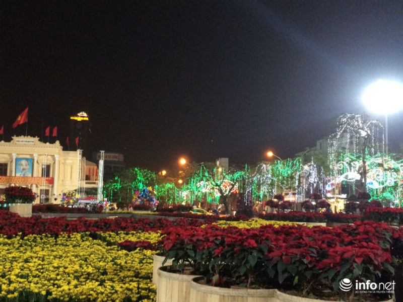 Tết này, Hải Phòng lung linh với cung đường sắc màu - ảnh 9