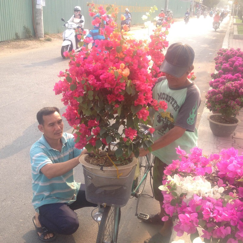 Thưởng lãm chợ hoa độc nhất “trên bến dưới thuyền” ở Sài Gòn - ảnh 18