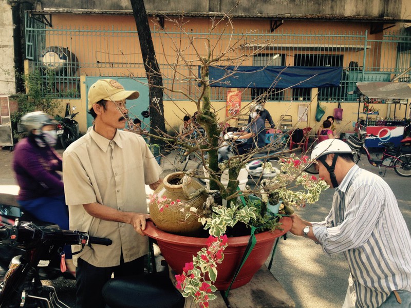 Thưởng lãm chợ hoa độc nhất “trên bến dưới thuyền” ở Sài Gòn - ảnh 19