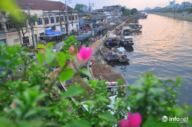 Thưởng lãm chợ hoa độc nhất “trên bến dưới thuyền” ở Sài Gòn - ảnh 1