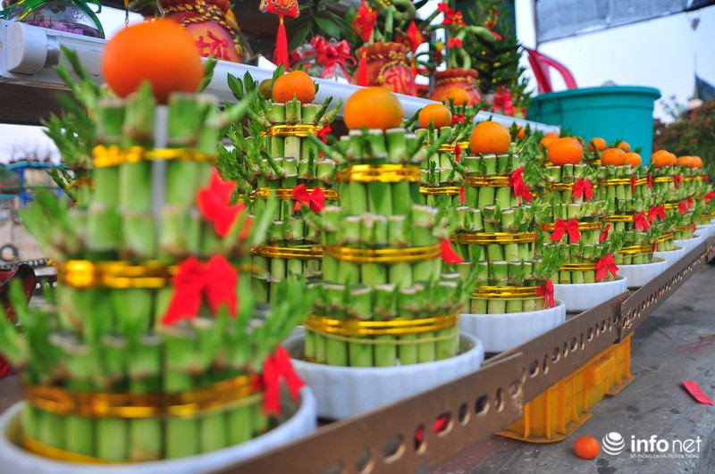 Thưởng lãm chợ hoa độc nhất “trên bến dưới thuyền” ở Sài Gòn - ảnh 13