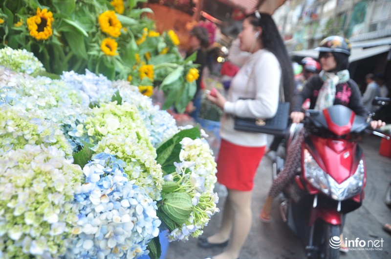 Linh vật dê làm từ hoa mai giá bạc triệu hút khách Sài Gòn - ảnh 12