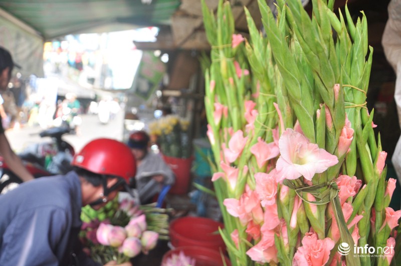 Linh vật dê làm từ hoa mai giá bạc triệu hút khách Sài Gòn - ảnh 10