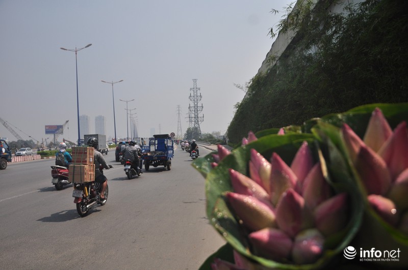 Giữa trưa, trời Sài Gòn vẫn chìm trong sương mù - ảnh 6