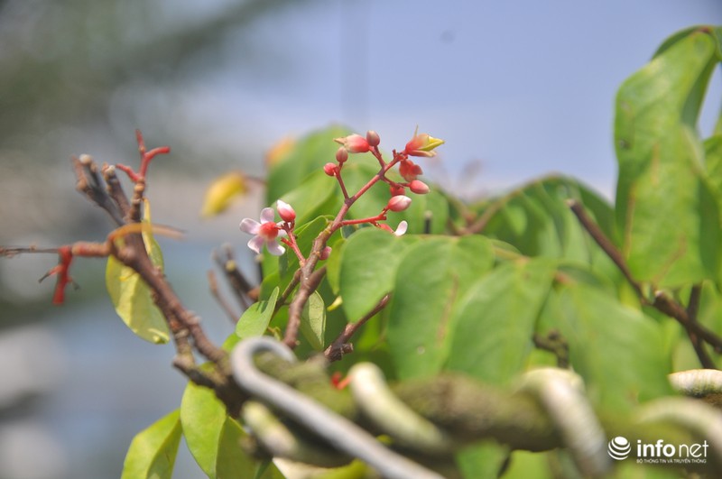 Choáng ngợp ngắm 2