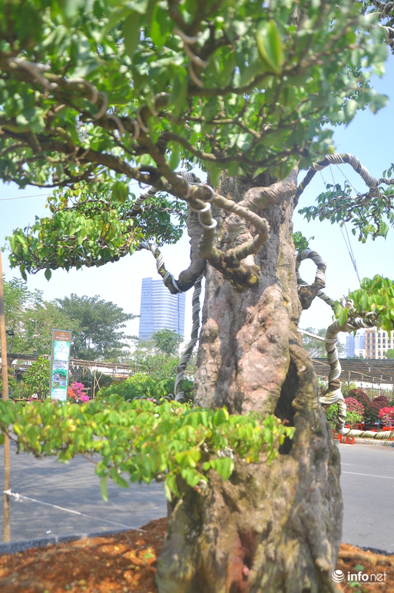 Choáng ngợp ngắm 2
