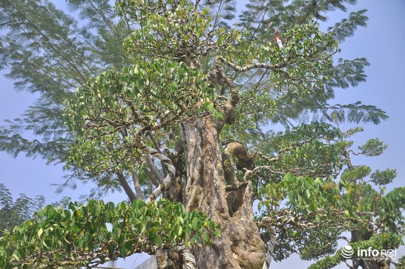 Choáng ngợp ngắm 2