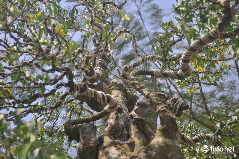 Choáng ngợp ngắm 2