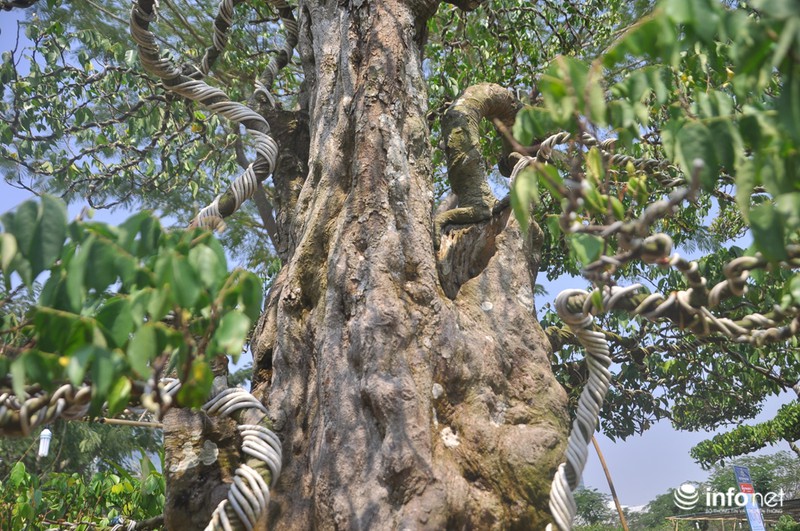 Choáng ngợp ngắm 2