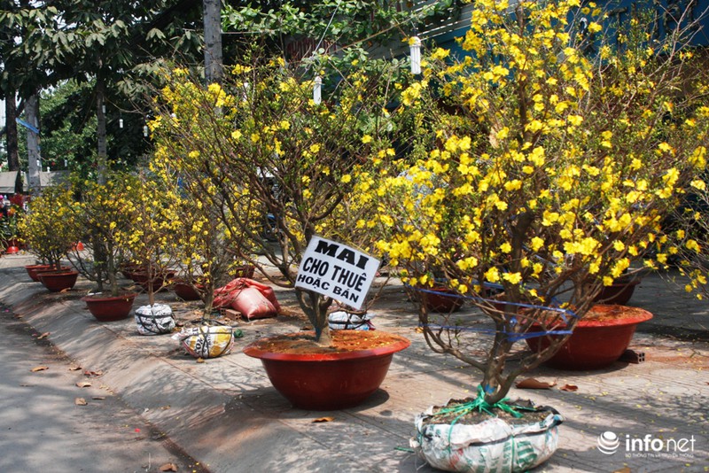 Giảm giá