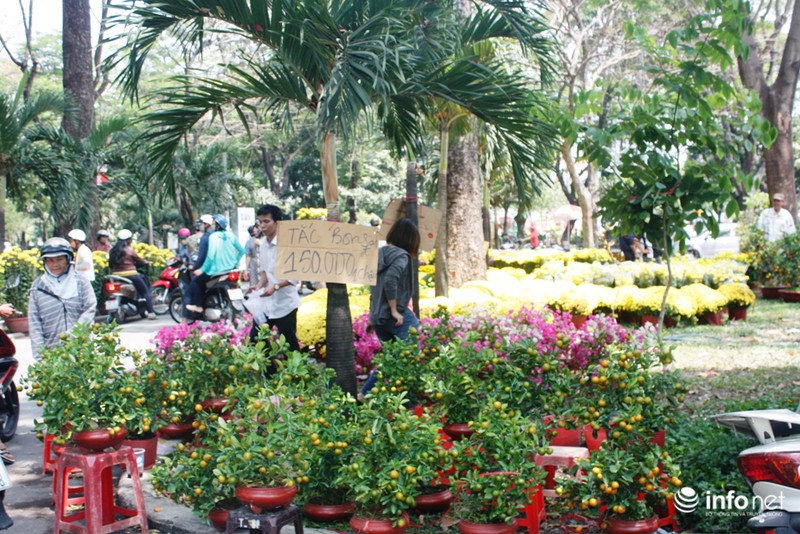 Giảm giá