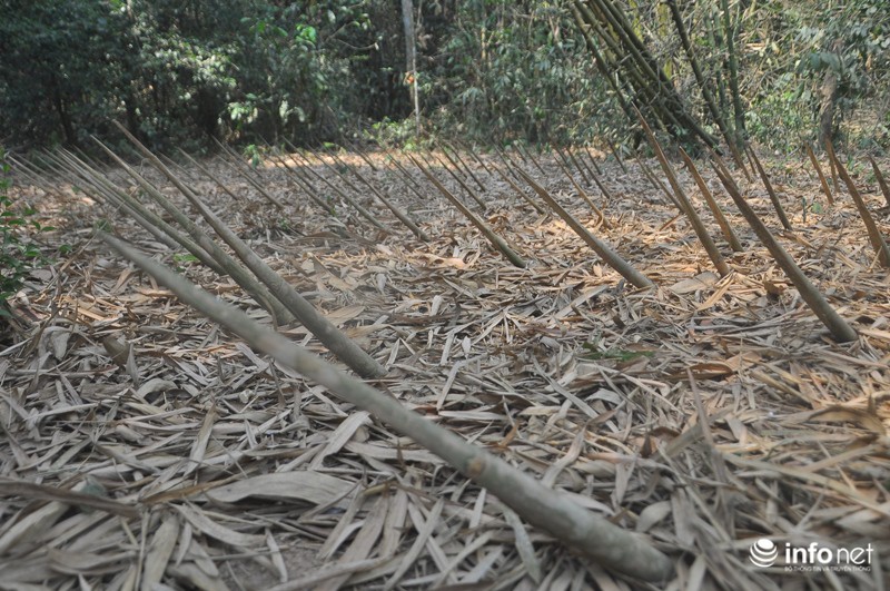 “Vùng đất thép” địa đạo Củ Chi và những cạm bẫy kinh hoàng - ảnh 12