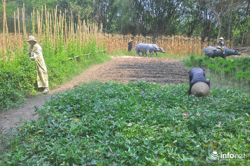 Khám phá địa đạo bí hiểm bậc nhất trong lòng Củ Chi - ảnh 17