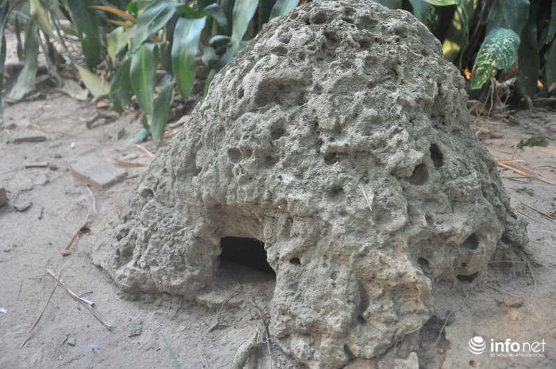 Khám phá địa đạo bí hiểm bậc nhất trong lòng Củ Chi - ảnh 11