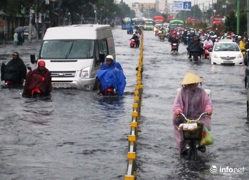 TP.HCM: Mưa giông cây đổ la liệt, 1 người bị thương - ảnh 3