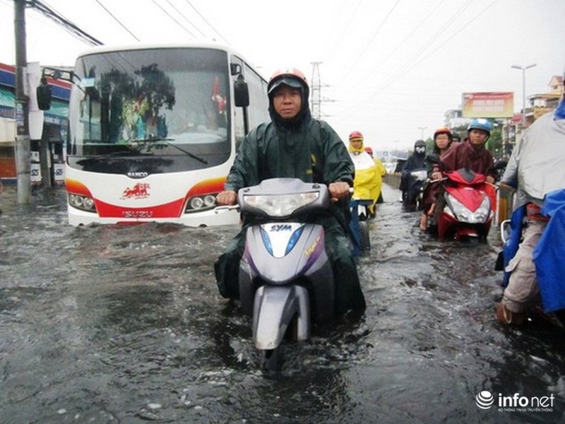 TP.HCM: Mưa giông cây đổ la liệt, 1 người bị thương - ảnh 4