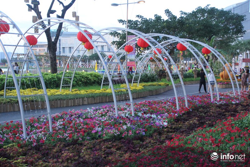 Thiếu nữ duyên dáng bên đường hoa xuân tại phố nhà giàu Sài Gòn - ảnh 20