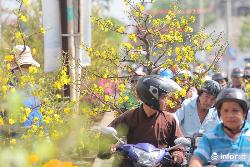 Người Sài Gòn sắm tết tại chợ hoa độc nhất vô nhị