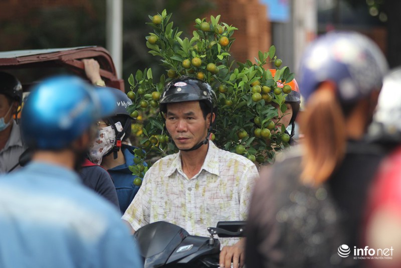 Người Sài Gòn sắm tết tại chợ hoa độc nhất vô nhị