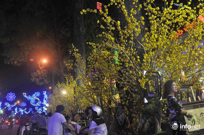 Đường phố Sài Gòn rực rỡ đón Tết Nguyên đán 2016 - ảnh 12
