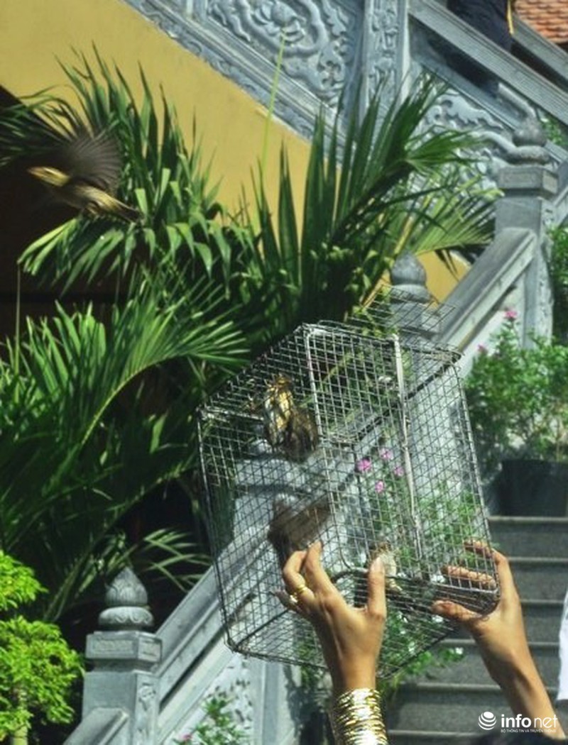 Người Sài Gòn nườm nượp đi lễ chùa rằm tháng Giêng - ảnh 13