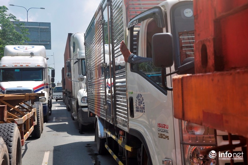 Tài xế mắc võng ngủ trên