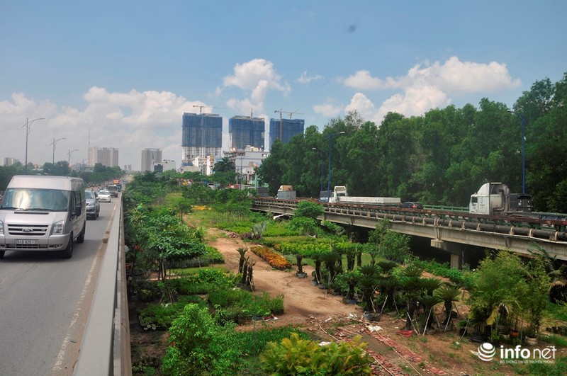 Tài xế mắc võng ngủ trên