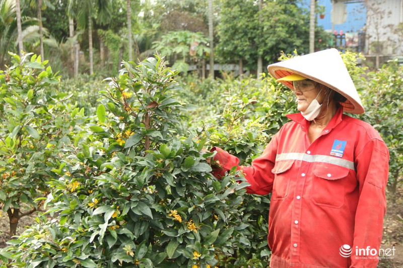 Làng mai Thủ Đức