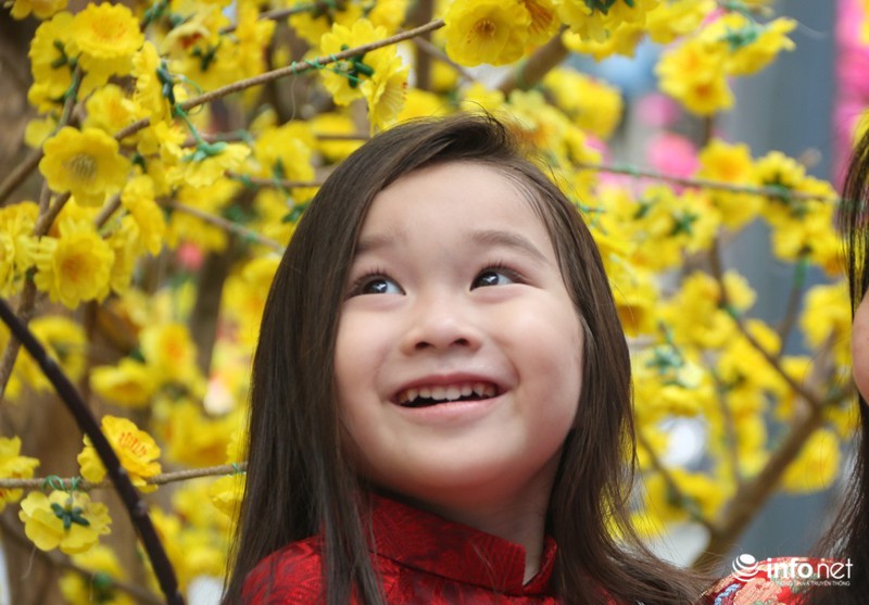 Người dân xúng xính khăn đóng áo dài chụp ảnh Tết sớm - ảnh 12