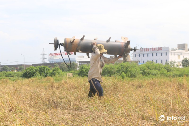 Người miền Tây lên TP.HCM gặt lúa thuê kiếm tiền sắm Tết - ảnh 7