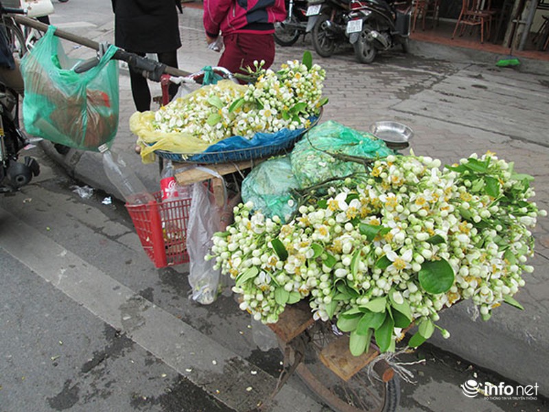 Kiếm tiền triệu mỗi ngày nhờ bán hoa bưởi dạo - ảnh 9