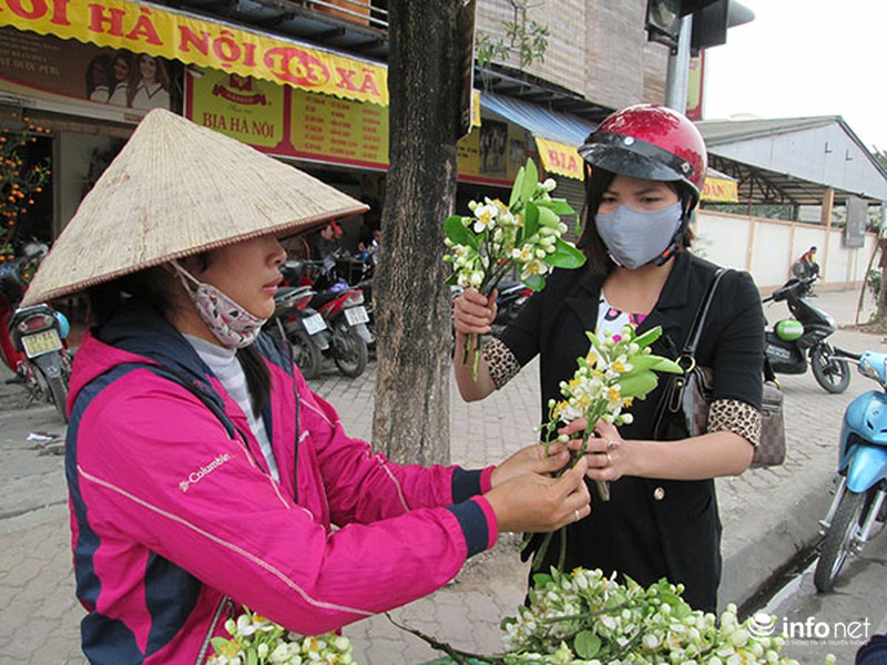 Kiếm tiền triệu mỗi ngày nhờ bán hoa bưởi dạo - ảnh 11