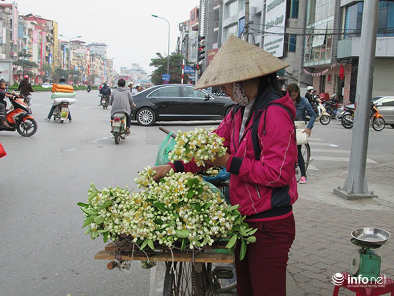 Kiếm tiền triệu mỗi ngày nhờ bán hoa bưởi dạo - ảnh 4