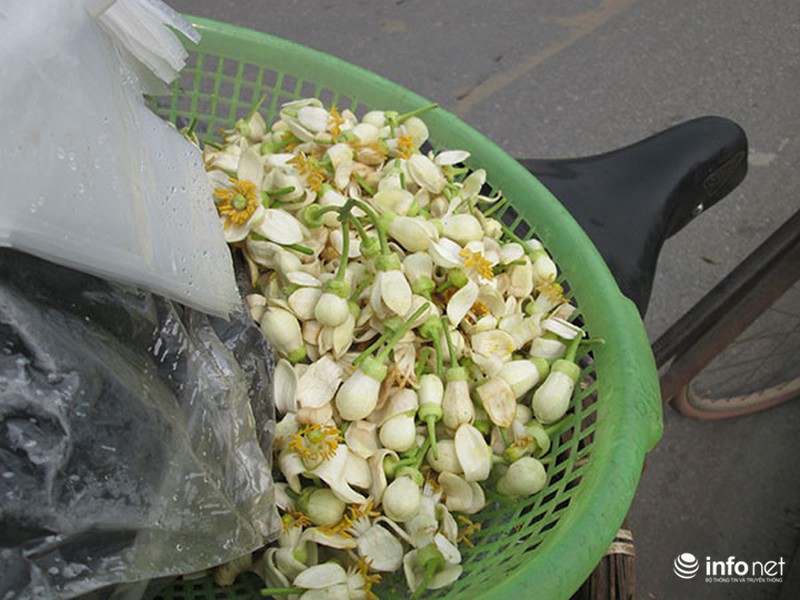 Kiếm tiền triệu mỗi ngày nhờ bán hoa bưởi dạo - ảnh 13