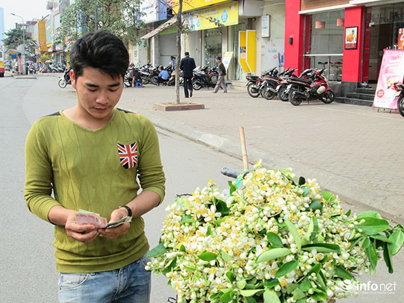 Kiếm tiền triệu mỗi ngày nhờ bán hoa bưởi dạo - ảnh 2