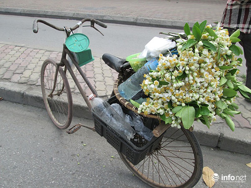 Kiếm tiền triệu mỗi ngày nhờ bán hoa bưởi dạo - ảnh 8