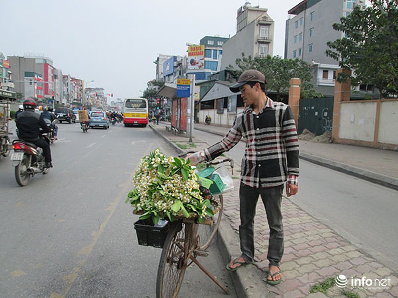 Kiếm tiền triệu mỗi ngày nhờ bán hoa bưởi dạo - ảnh 5