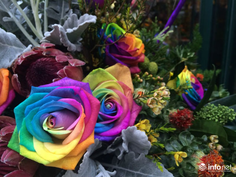 Đại gia chơi sang: 20 triệu đồng một bình hoa nhập làm quà tặng 8/3 - ảnh 5