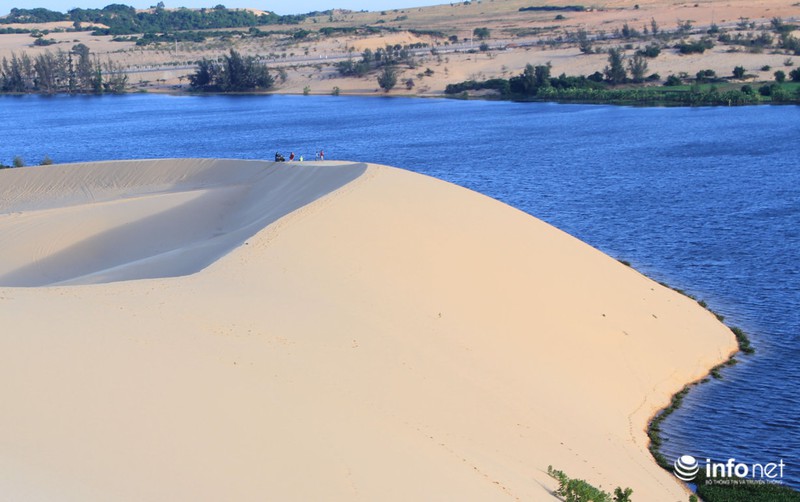 Có một “tiểu sa mạc Sahara” ở Bình Thuận - ảnh 2