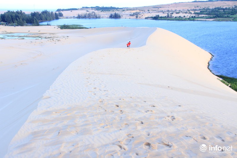 Có một “tiểu sa mạc Sahara” ở Bình Thuận - ảnh 8