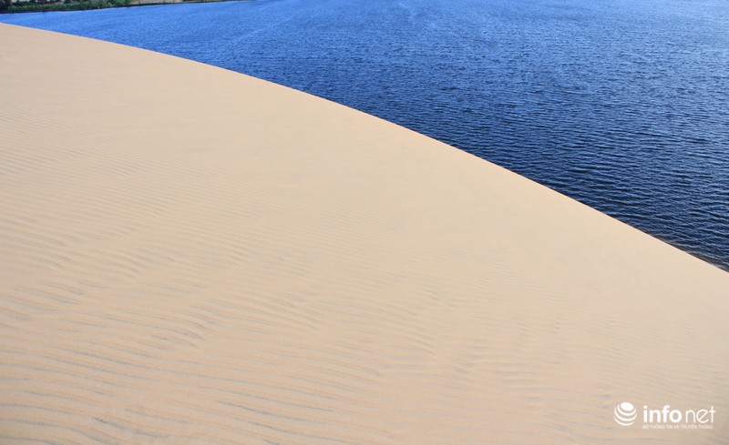 Có một “tiểu sa mạc Sahara” ở Bình Thuận - ảnh 3