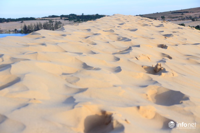 Có một “tiểu sa mạc Sahara” ở Bình Thuận - ảnh 13