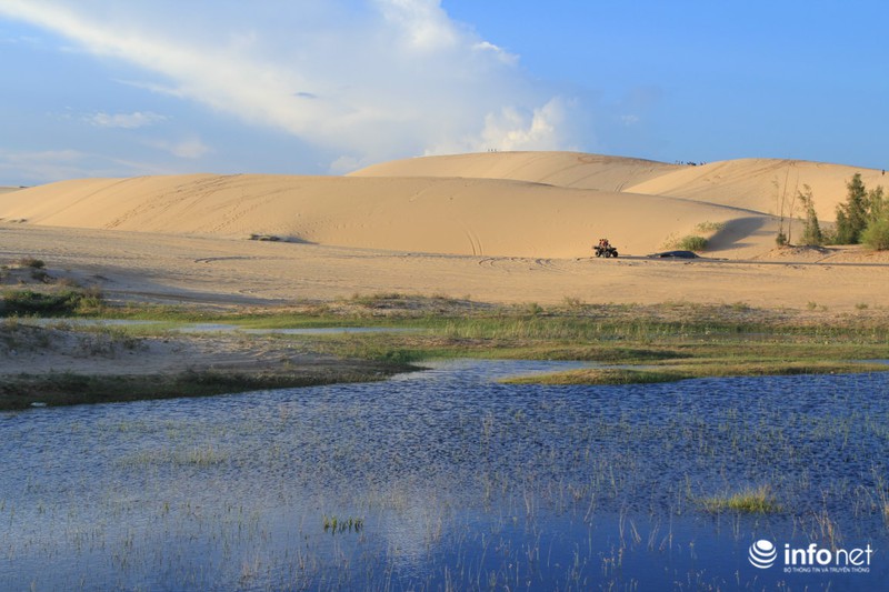 Có một “tiểu sa mạc Sahara” ở Bình Thuận - ảnh 4