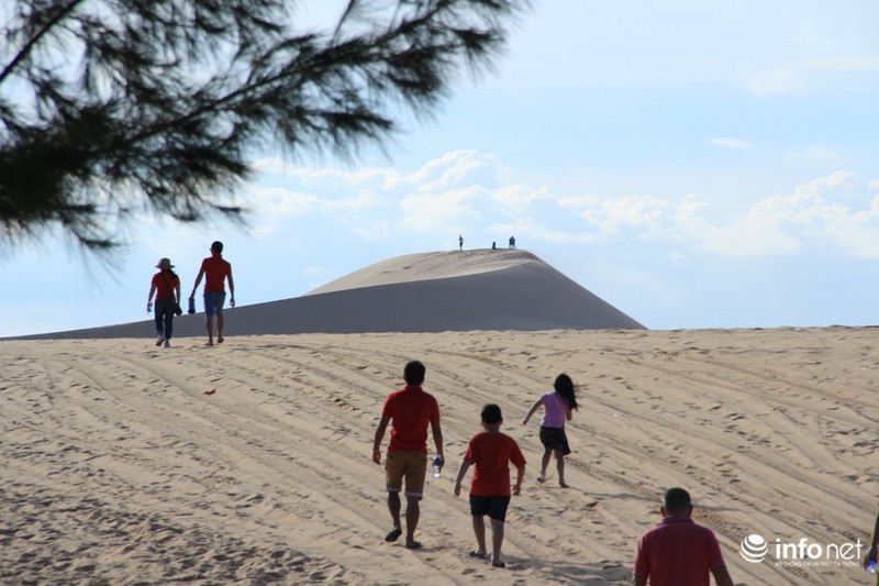 Có một “tiểu sa mạc Sahara” ở Bình Thuận - ảnh 6