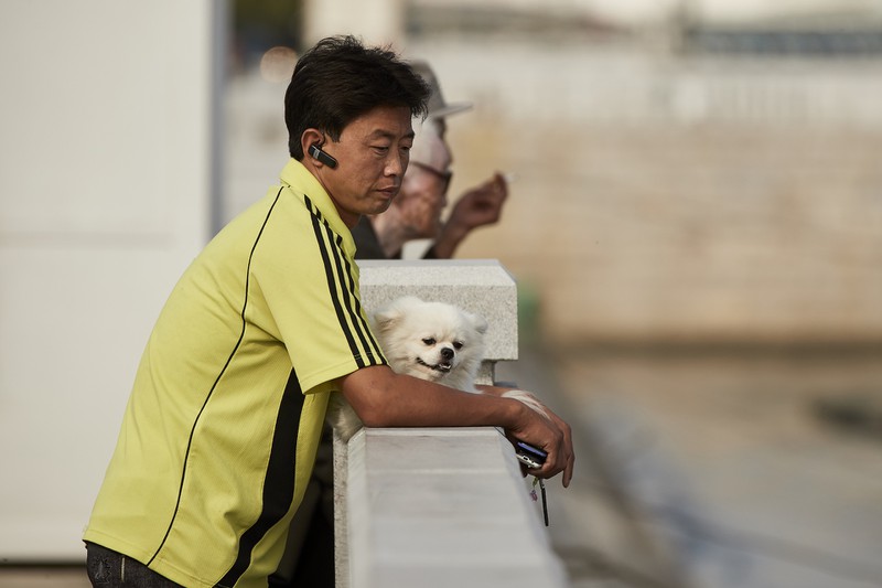 Bất ngờ về cuộc sống của người giàu ở Triều Tiên - ảnh 2