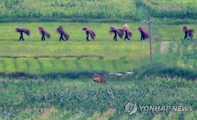 Lính Bình Nhưỡng thảnh thơi sau khi bán đảo Triều Tiên 