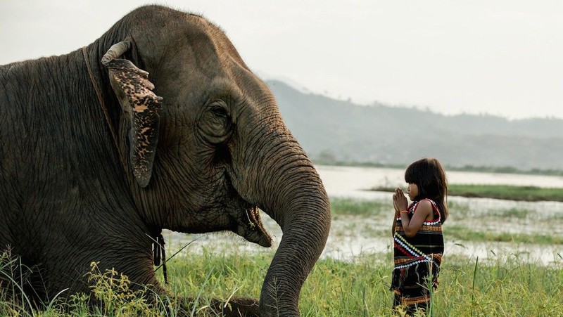 Kỳ công bộ ảnh các dân tộc Việt Nam của nhiếp ảnh gia Pháp - ảnh 1