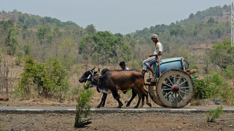 Hình ảnh Ấn Độ